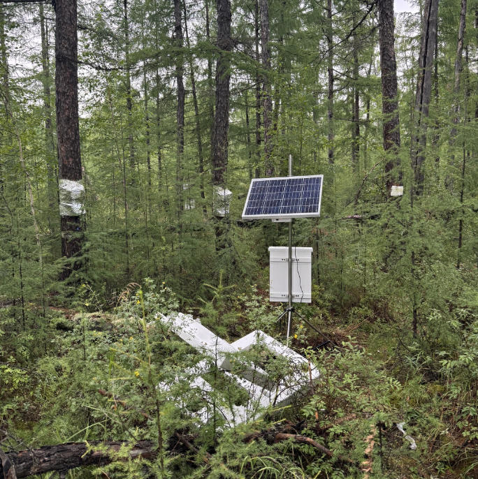 林间穿透雨监测系统解析！