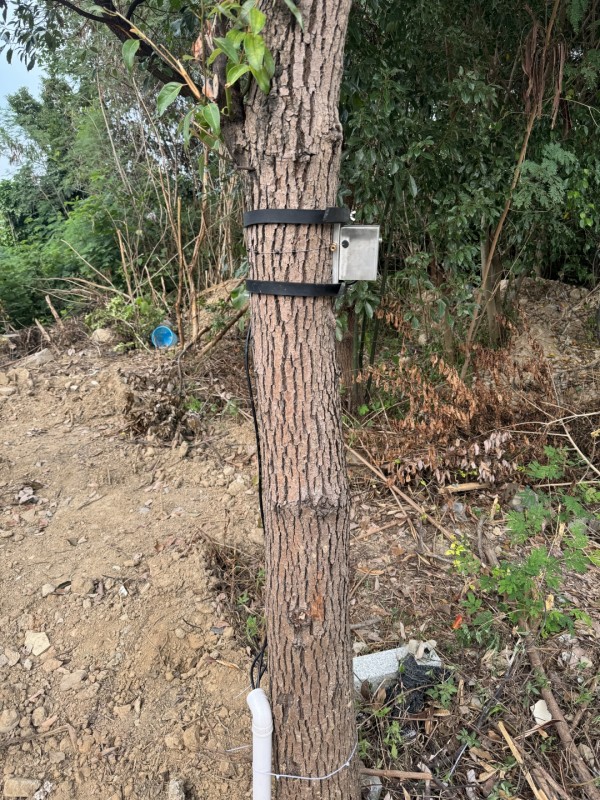 树木生长监测系统