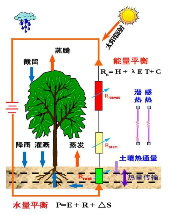 蒸散量测定方法及原理!