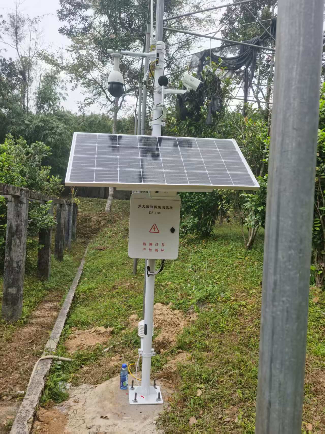 广西金花茶保护区物候监测系统安装验收