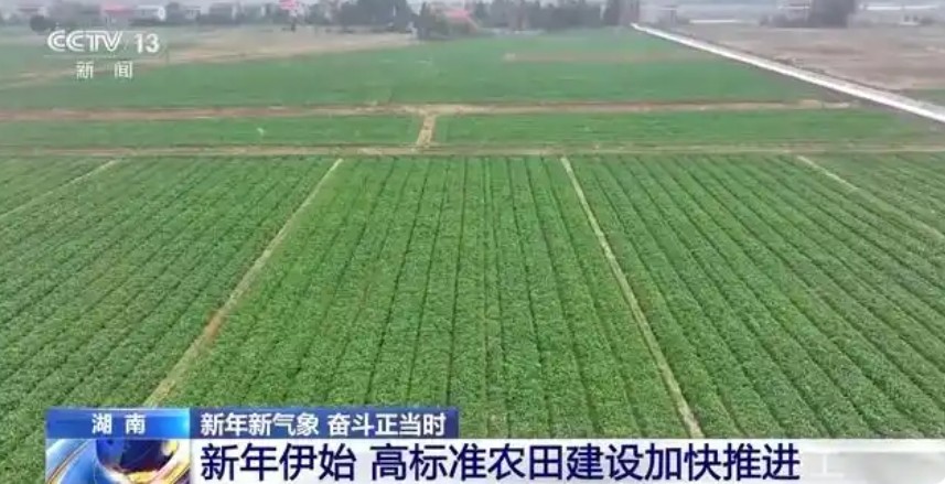 灌溉不再“一炮轰” 高标准农田持续“更新”