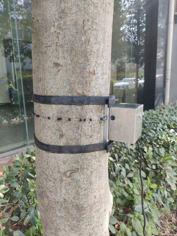 新型树木生长传感器